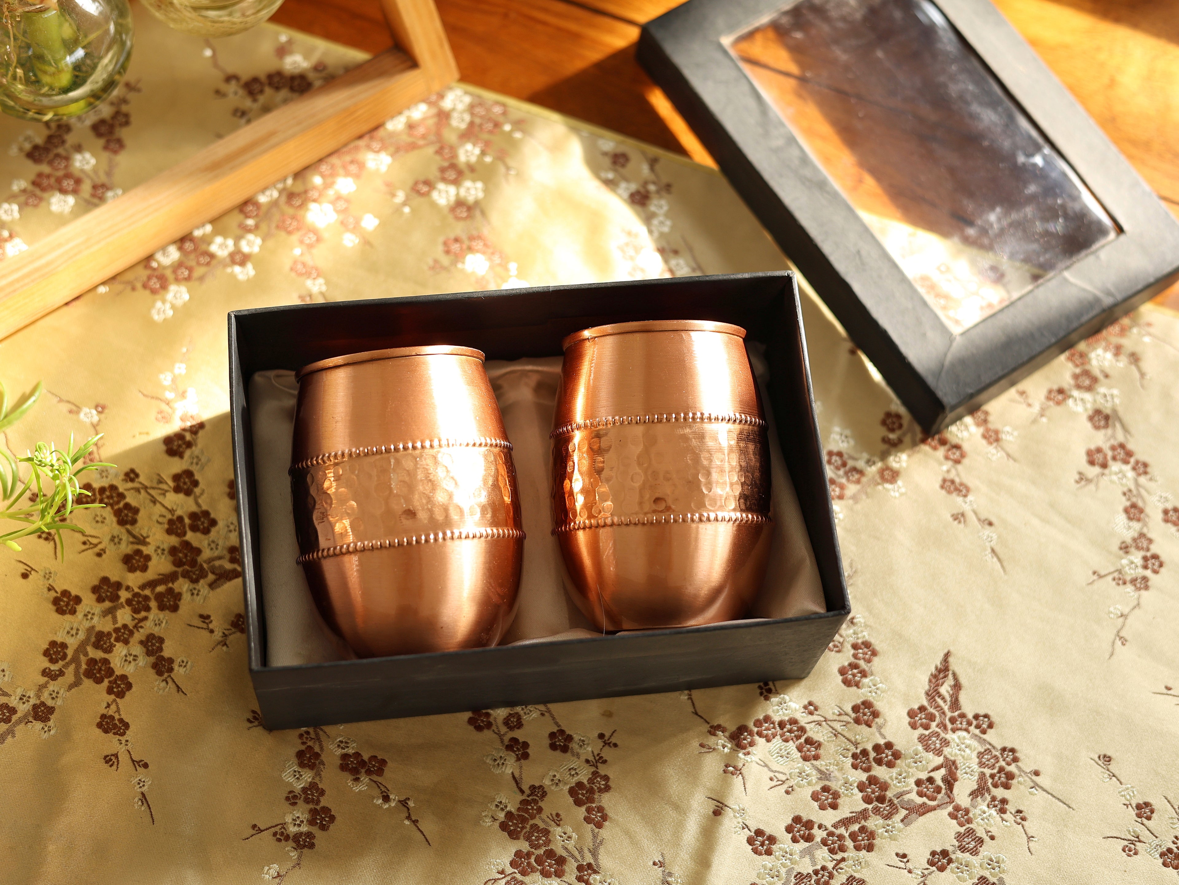 Vedic Copper Glass